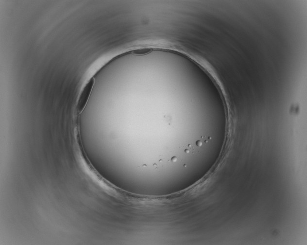 X0000111821389200907231013