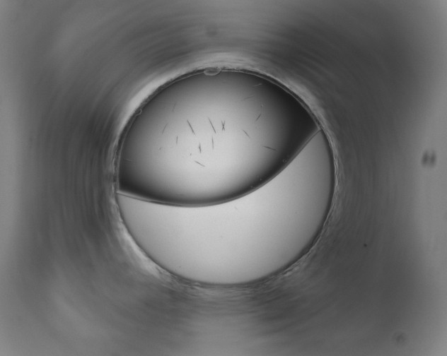X0000111821392200907231013