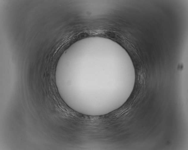 X0000111821393200907231012