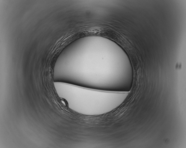 X0000111821394200907231012