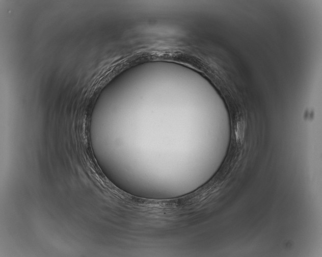 X0000111821396200907231012
