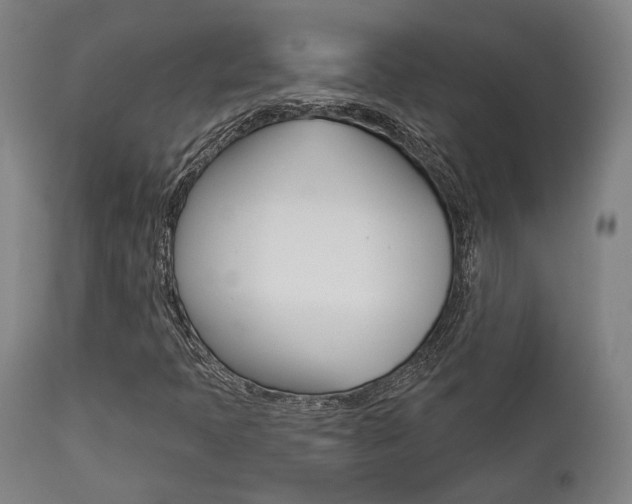 X0000111821397200907231012