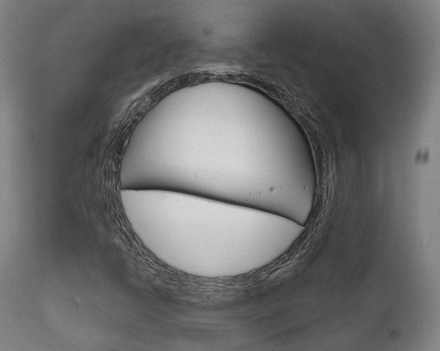 X0000111821398200907231012