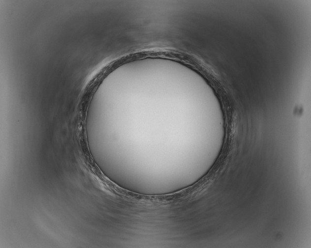 X0000111821400200907231012