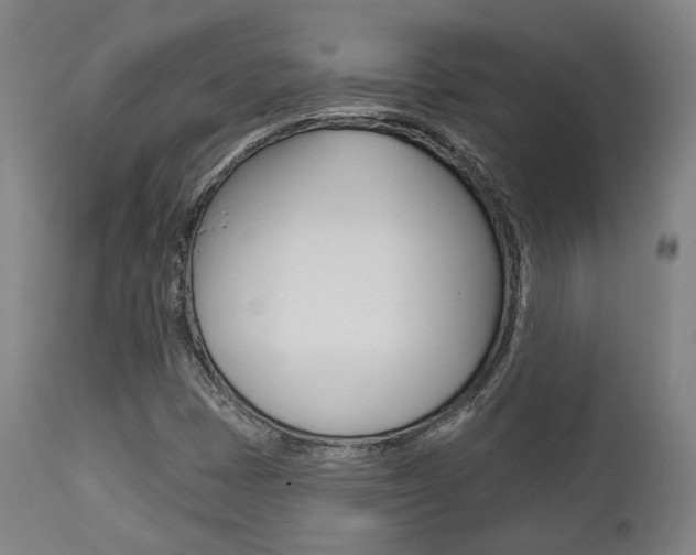 X0000111821401200907231012