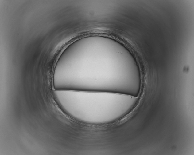 X0000111821402200907231012