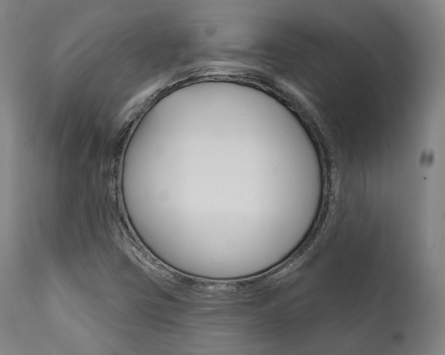 X0000111821403200907231012