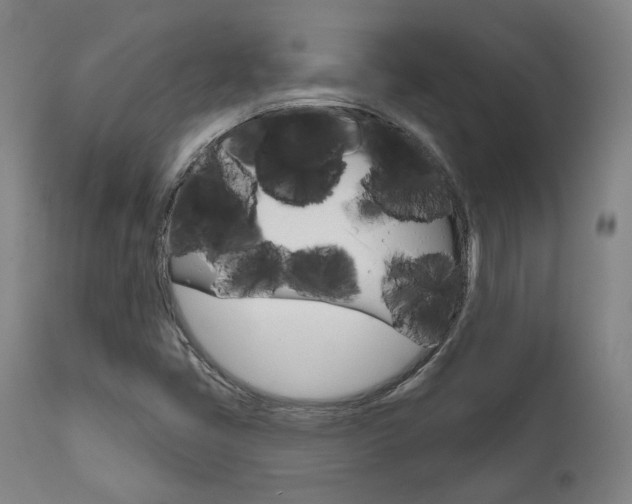 X0000111821405200907231012