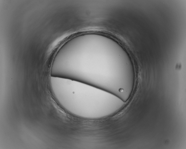 X0000111821406200907231013