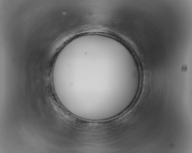 X0000111821407200907231013