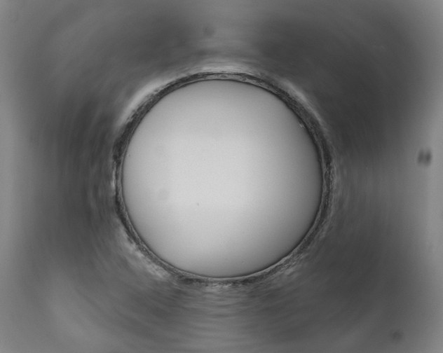 X0000111821408200907231013