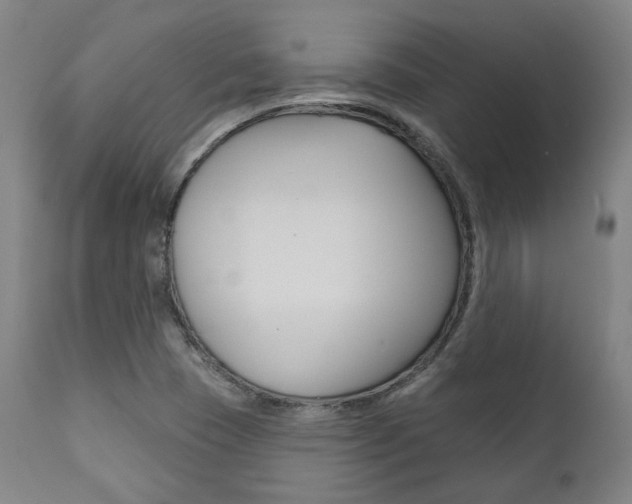 X0000111821409200907231013