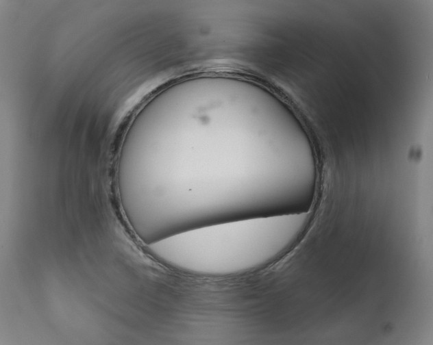 X0000111821410200907231013