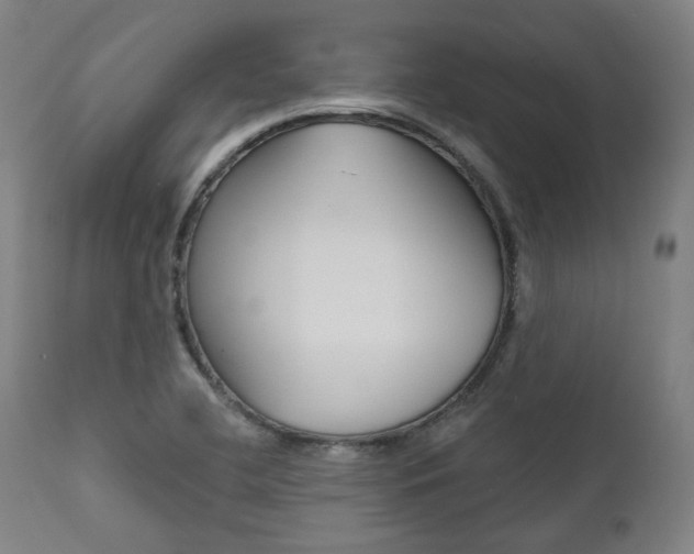 X0000111821412200907231013