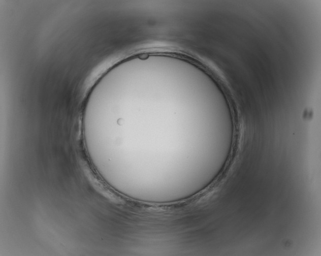 X0000111821413200907231013