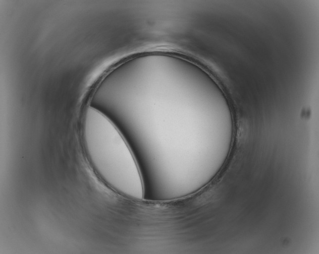 X0000111821414200907231013