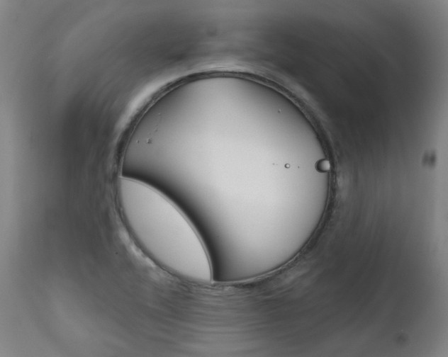 X0000111821416200907231013