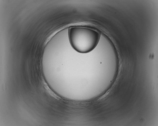 X0000111821417200907231013