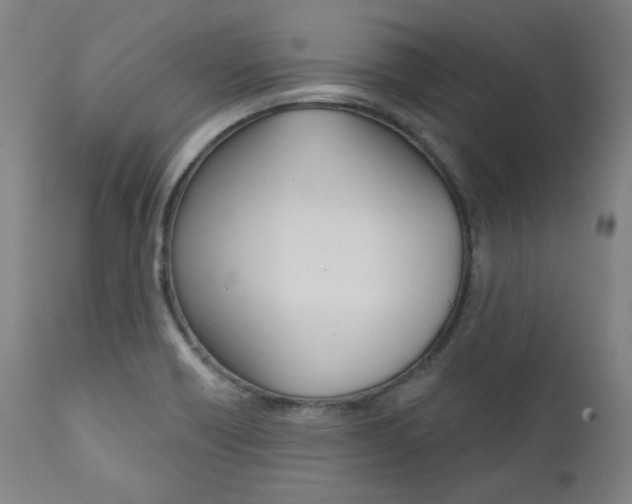 X0000111821418200907231013