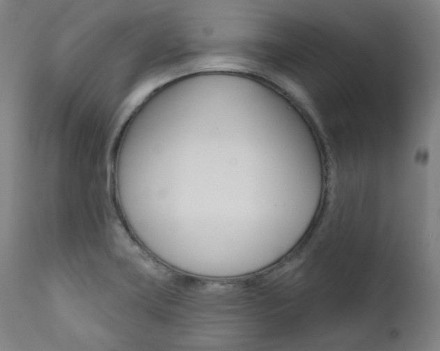 X0000111821419200907231013