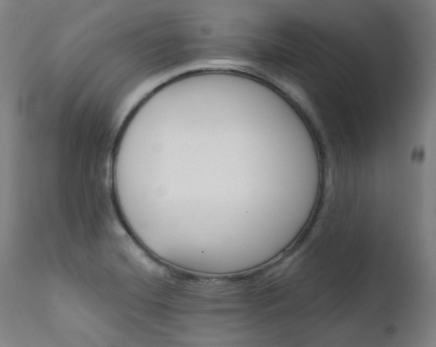 X0000111821420200907231013