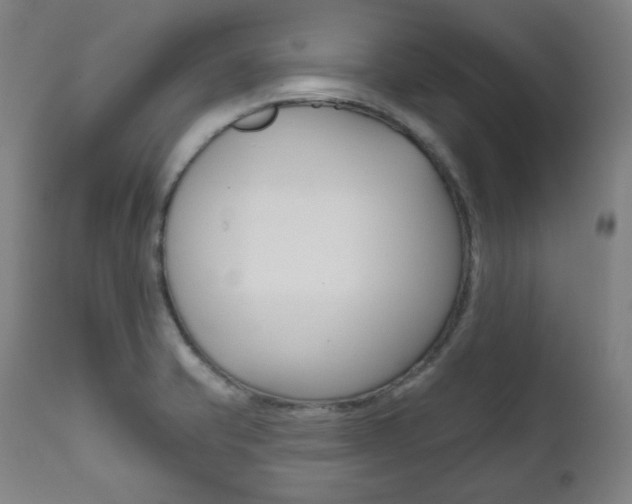 X0000111821421200907231013