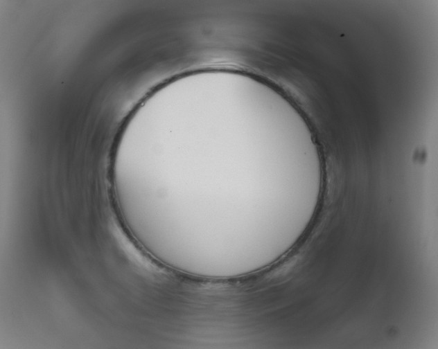 X0000111821422200907231013