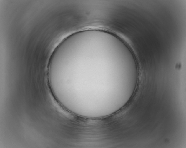 X0000111821423200907231013