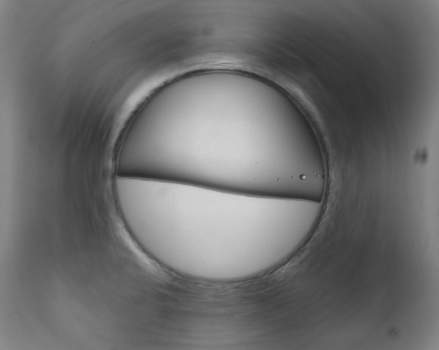 X0000111821424200907231013