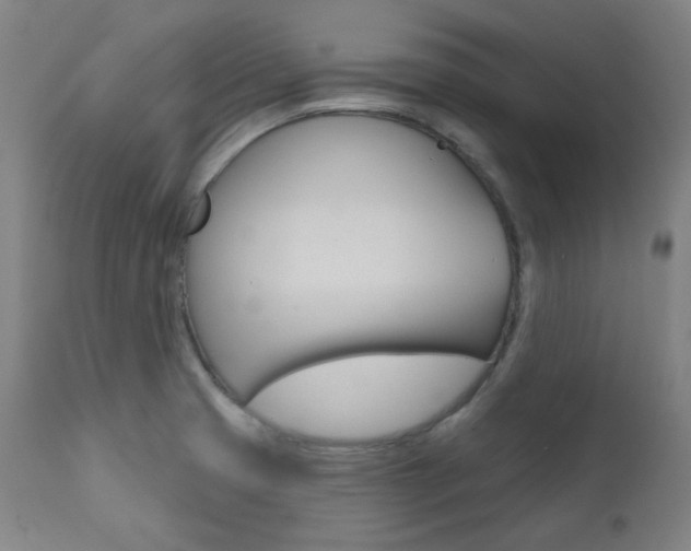 X0000111821425200907231013