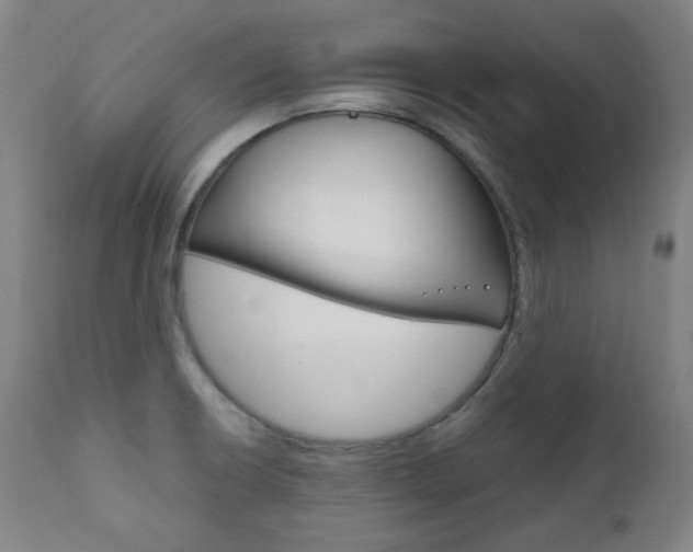 X0000111821426200907231013