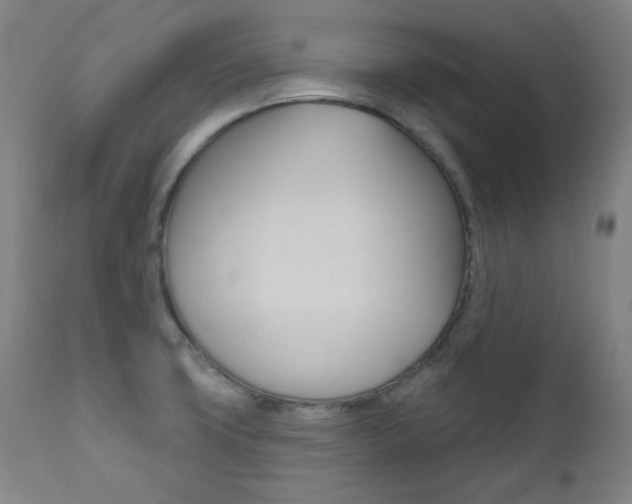 X0000111821427200907231013