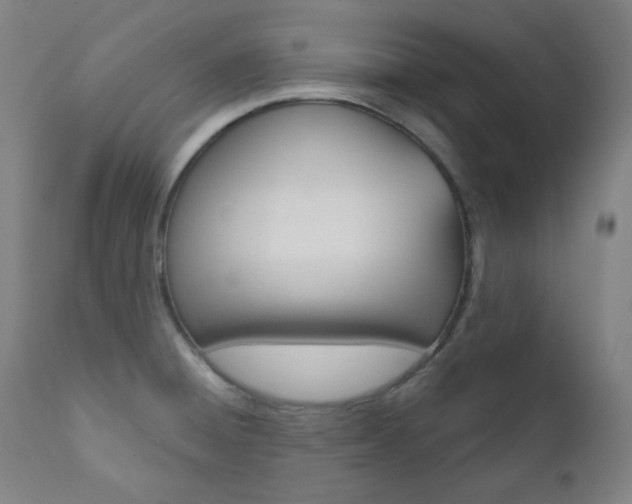 X0000111821428200907231013