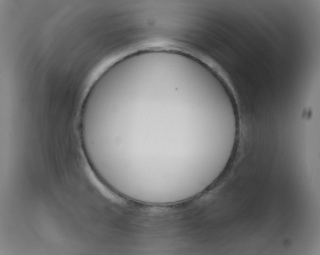 X0000111821429200907231013