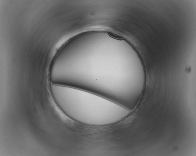 X0000111821430200907231013