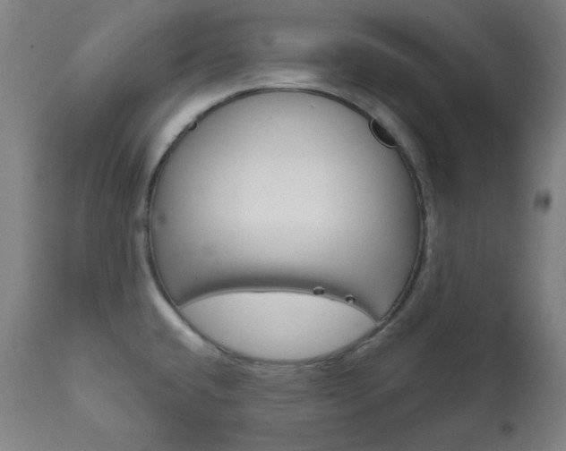 X0000111821432200907231013