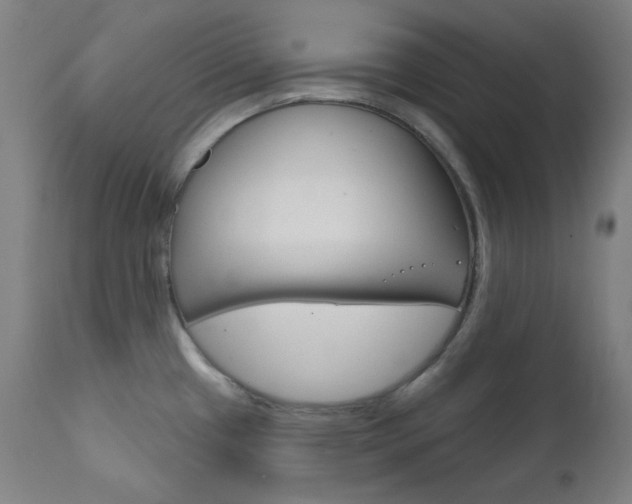 X0000111821433200907231013