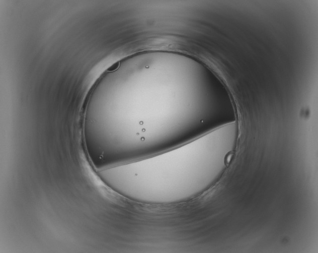 X0000111821434200907231013