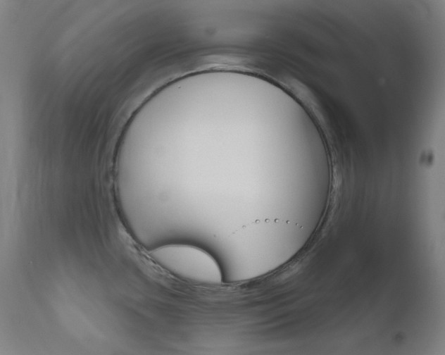 X0000111821435200907231013