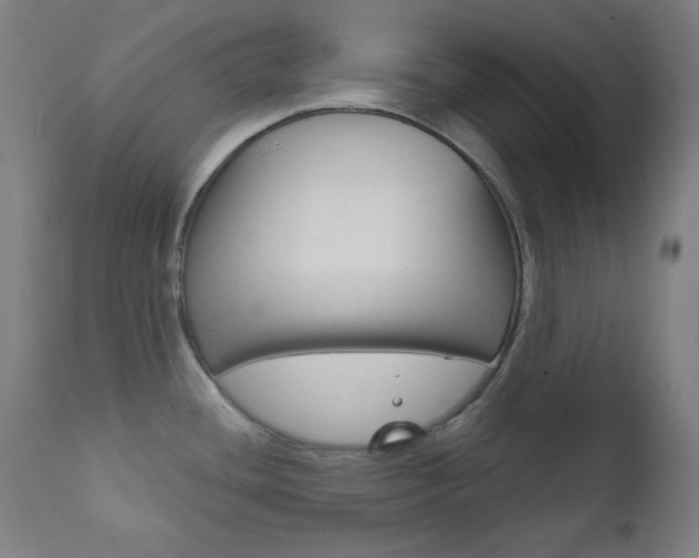 X0000111821436200907231013
