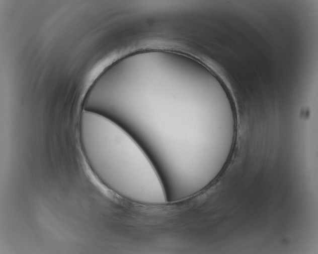 X0000111821437200907231013