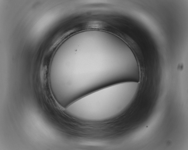X0000111821438200907231013