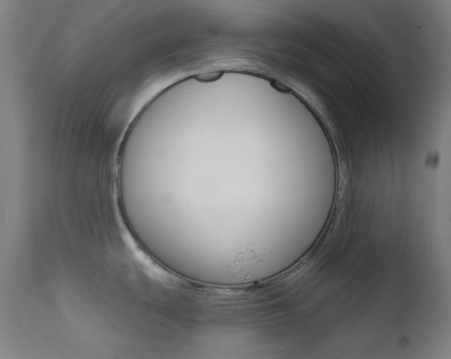 X0000111821439200907231013