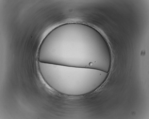 X0000111821440200907231013