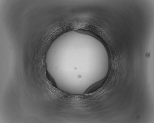 X0000111821441200907231012