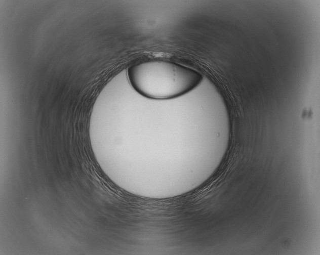 X0000111821443200907231012