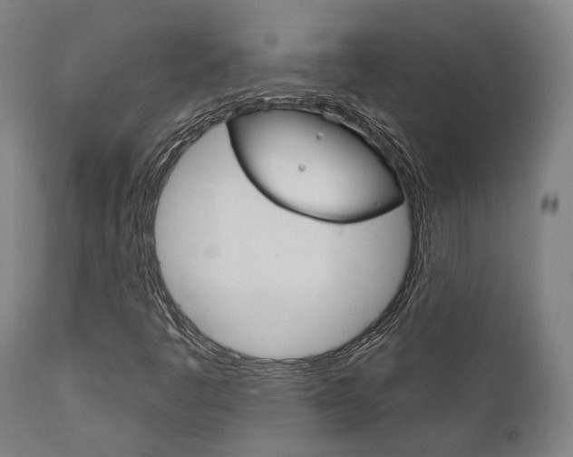 X0000111821445200907231012