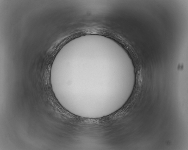 X0000111821446200907231012