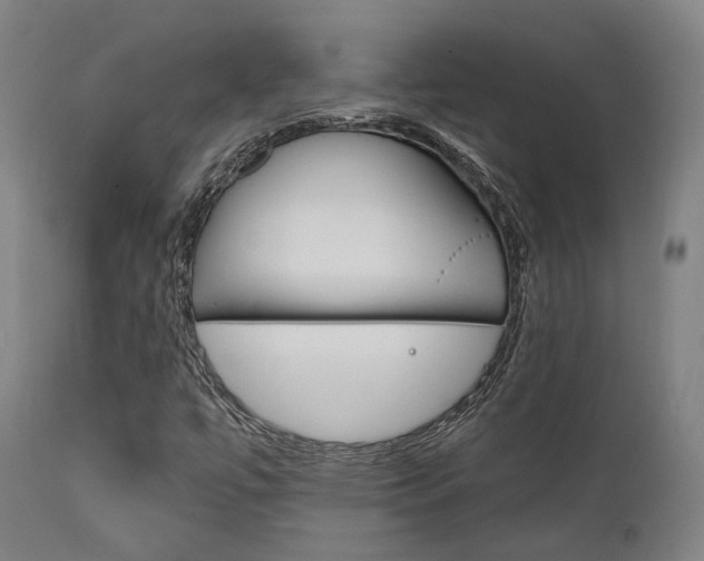 X0000111821447200907231012