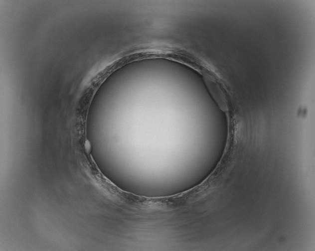 X0000111821448200907231012